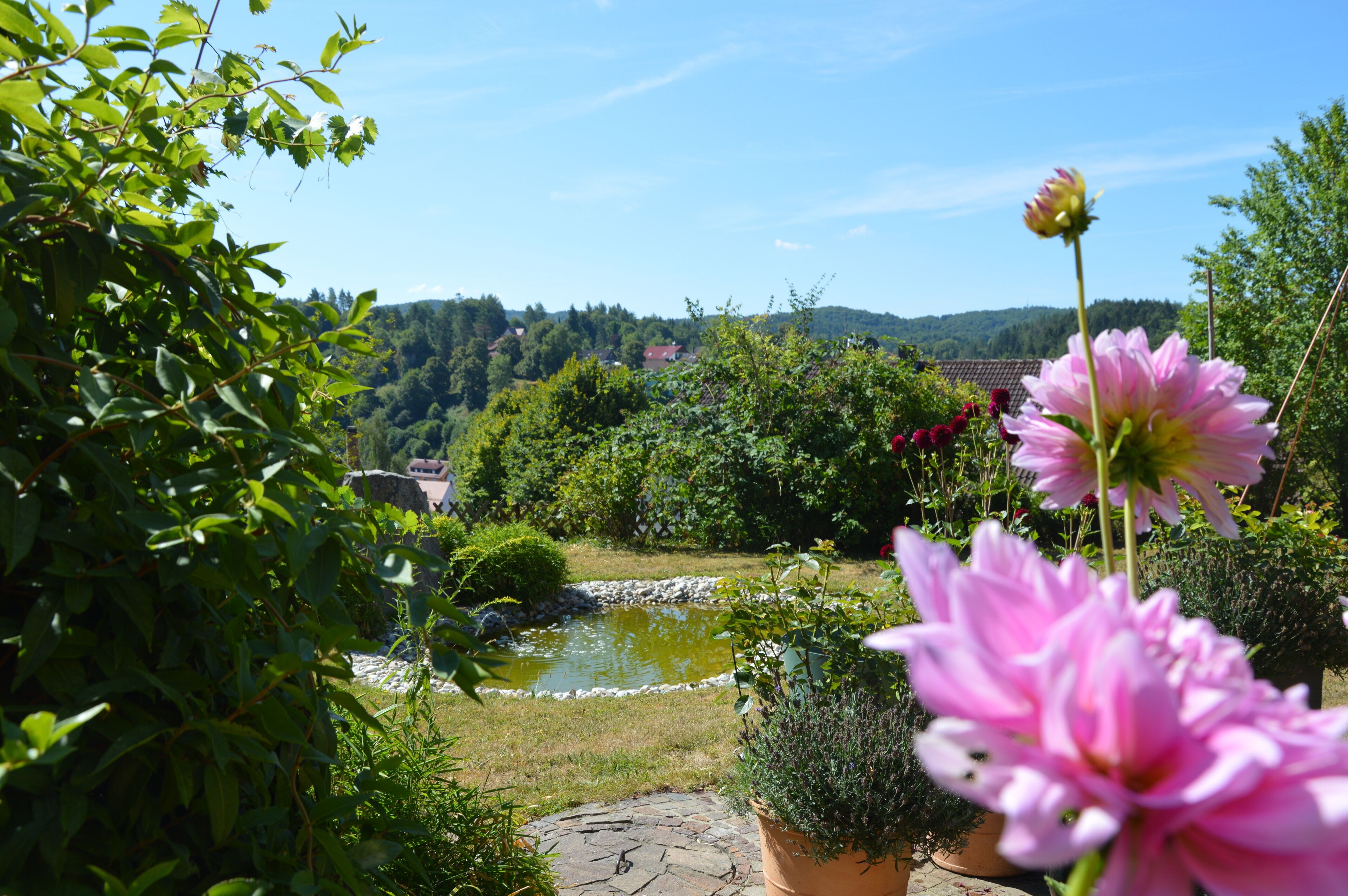 Áreas de la propiedad