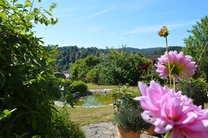 Un jardín con un estanque, diversas plantas y una flor rosa en primer plano.