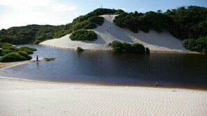 Ein Sandstrand mit einem Gewässer und einem bewachsenen Hügel.