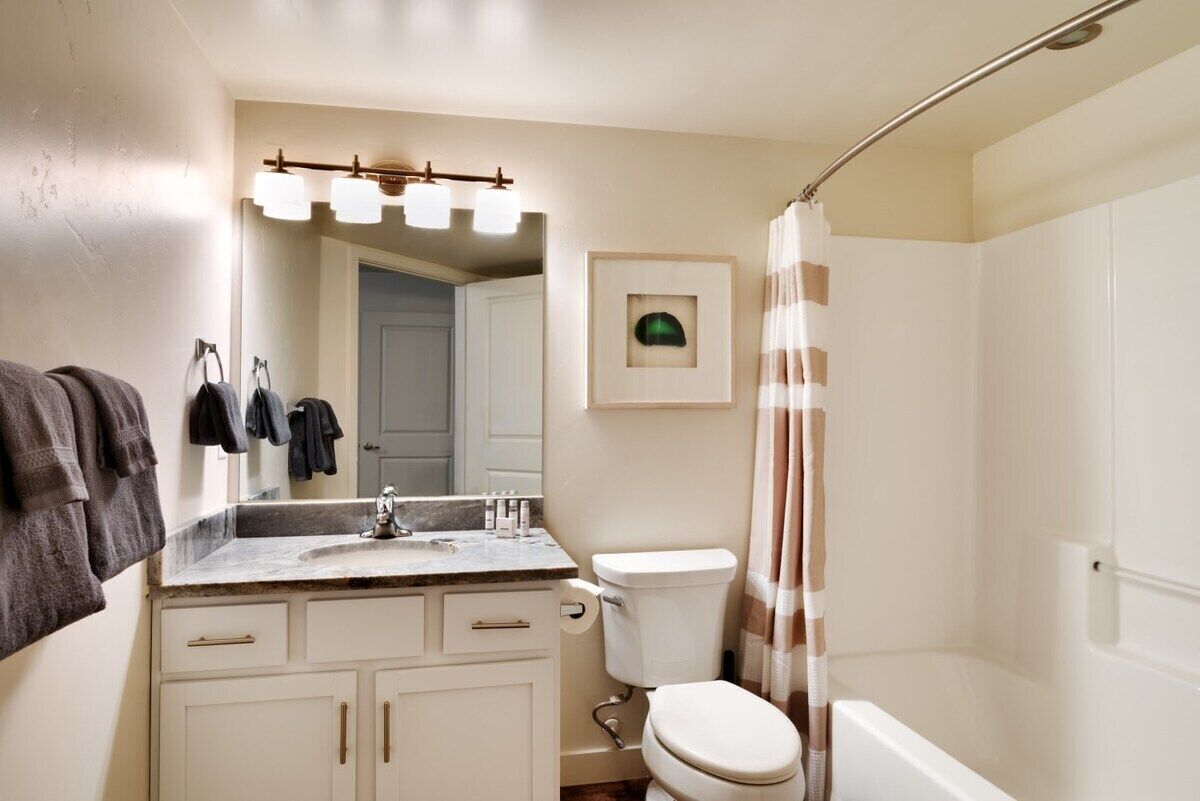 Bathtub, hair dryer, towels