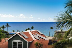 Un bâtiment situé sur la côte, doté d’une façade verdoyante, de panneaux solaires sur le toit et offrant une vue sur l’océan.