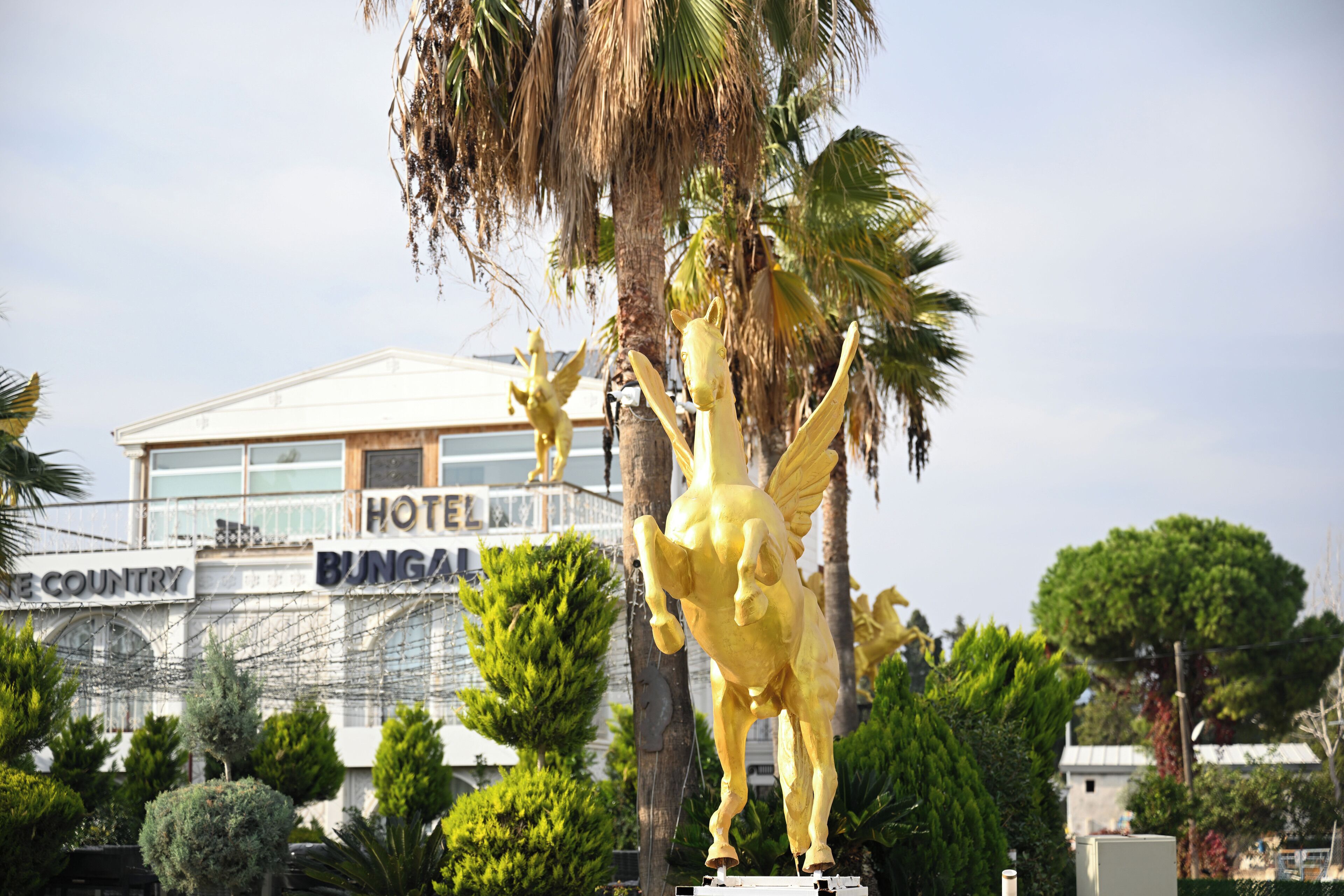 Foto - White Country Boutique Hotel