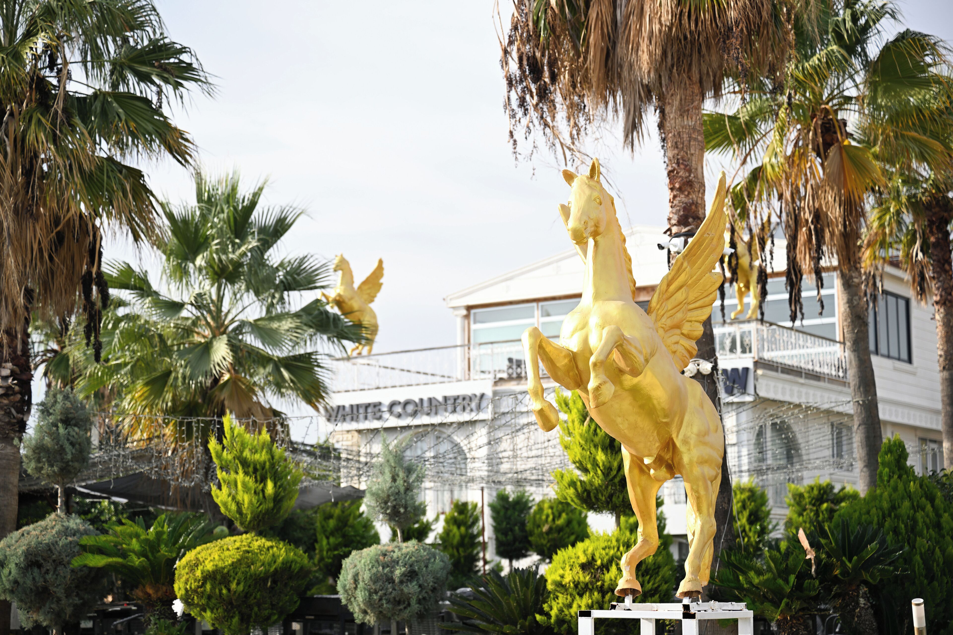 Foto - White Country Boutique Hotel