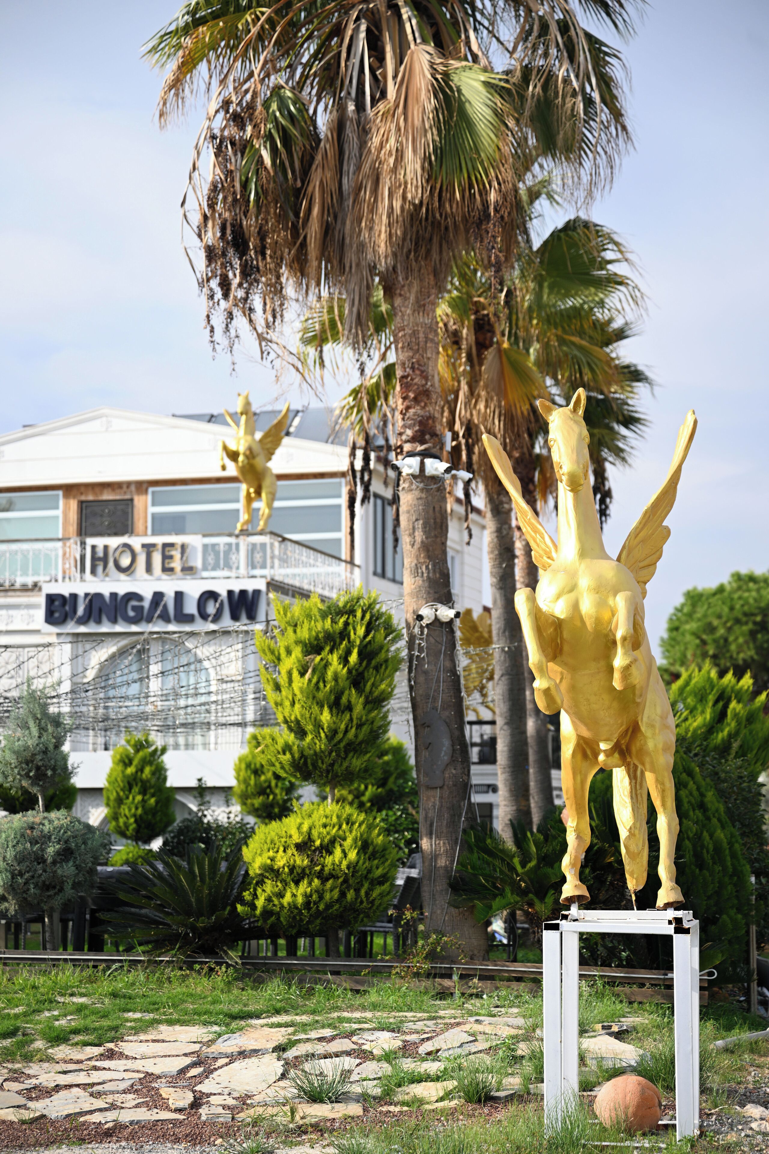 Foto - White Country Boutique Hotel