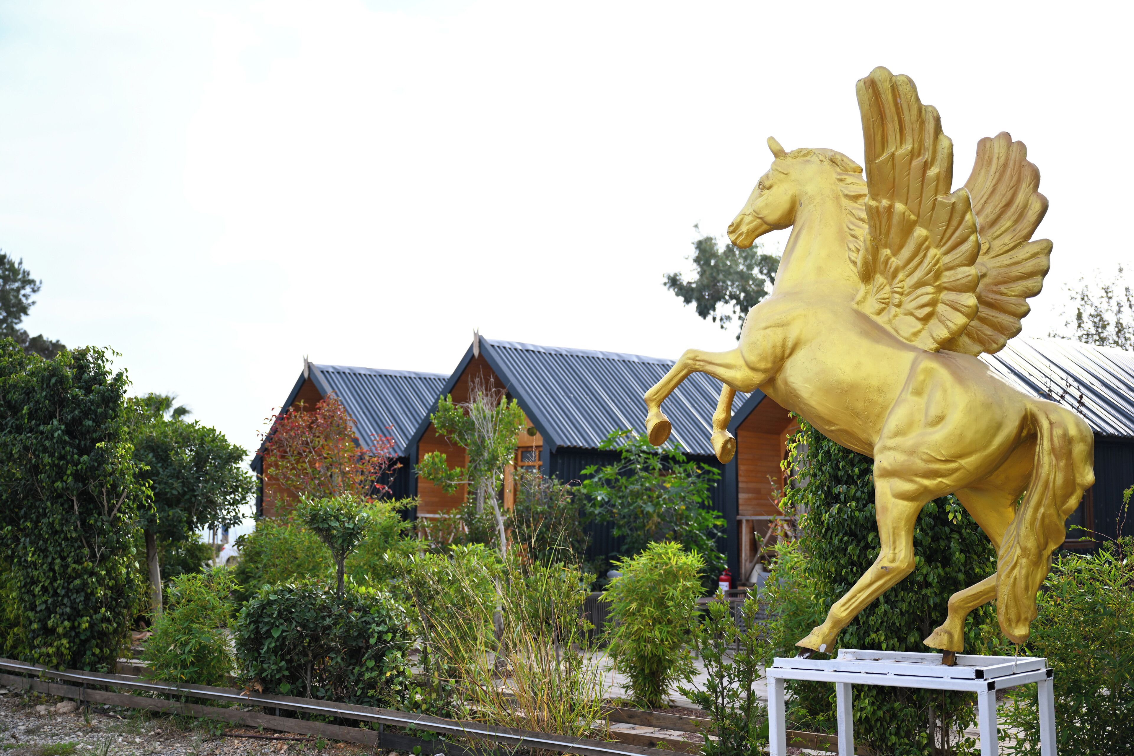 Foto - White Country Boutique Hotel