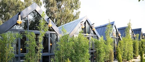 Hypo-allergenic bedding, individually decorated, desk, laptop workspace