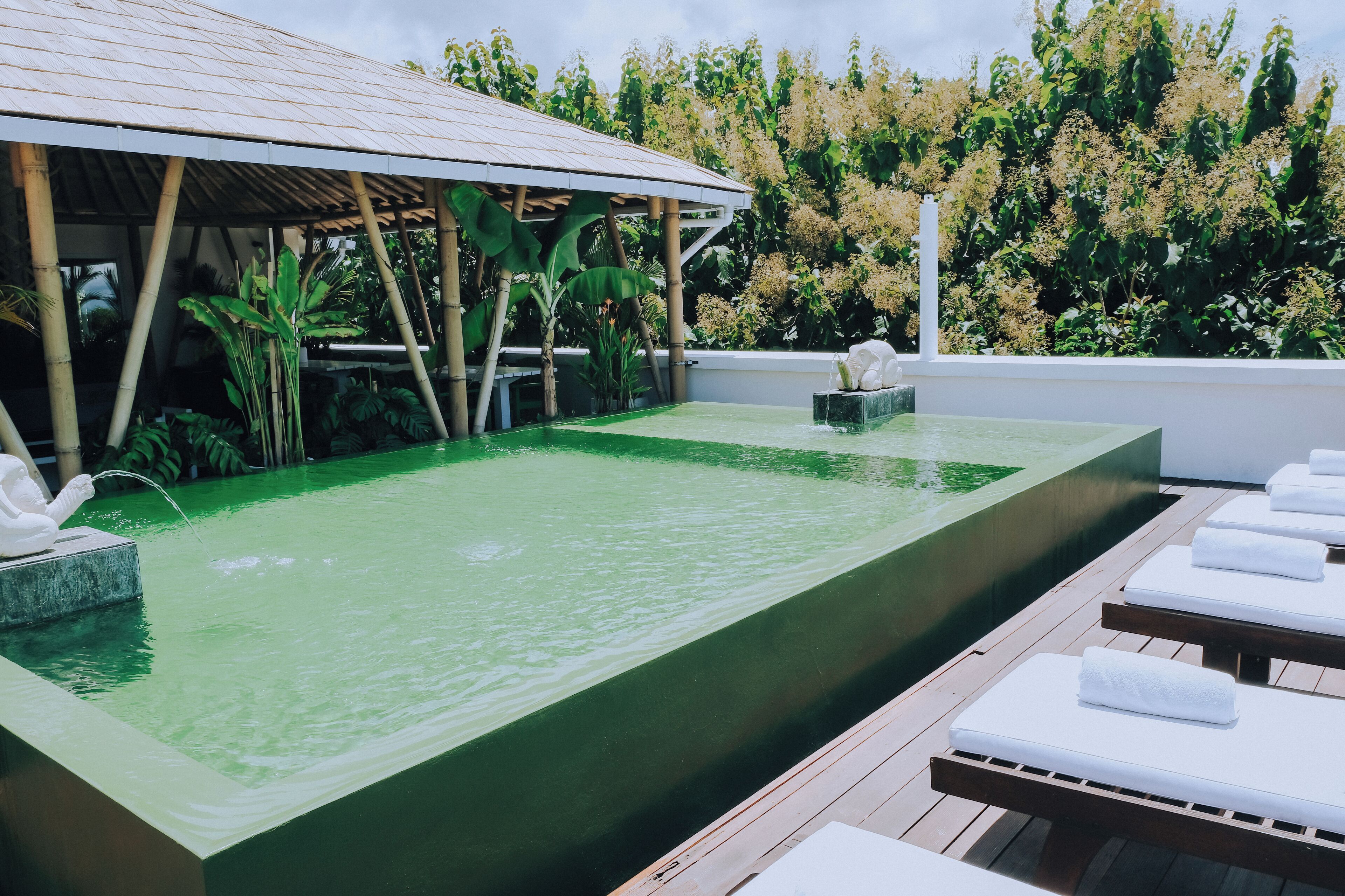 A rooftop infinity pool with a bamboo structure, surrounded by lush greenery.