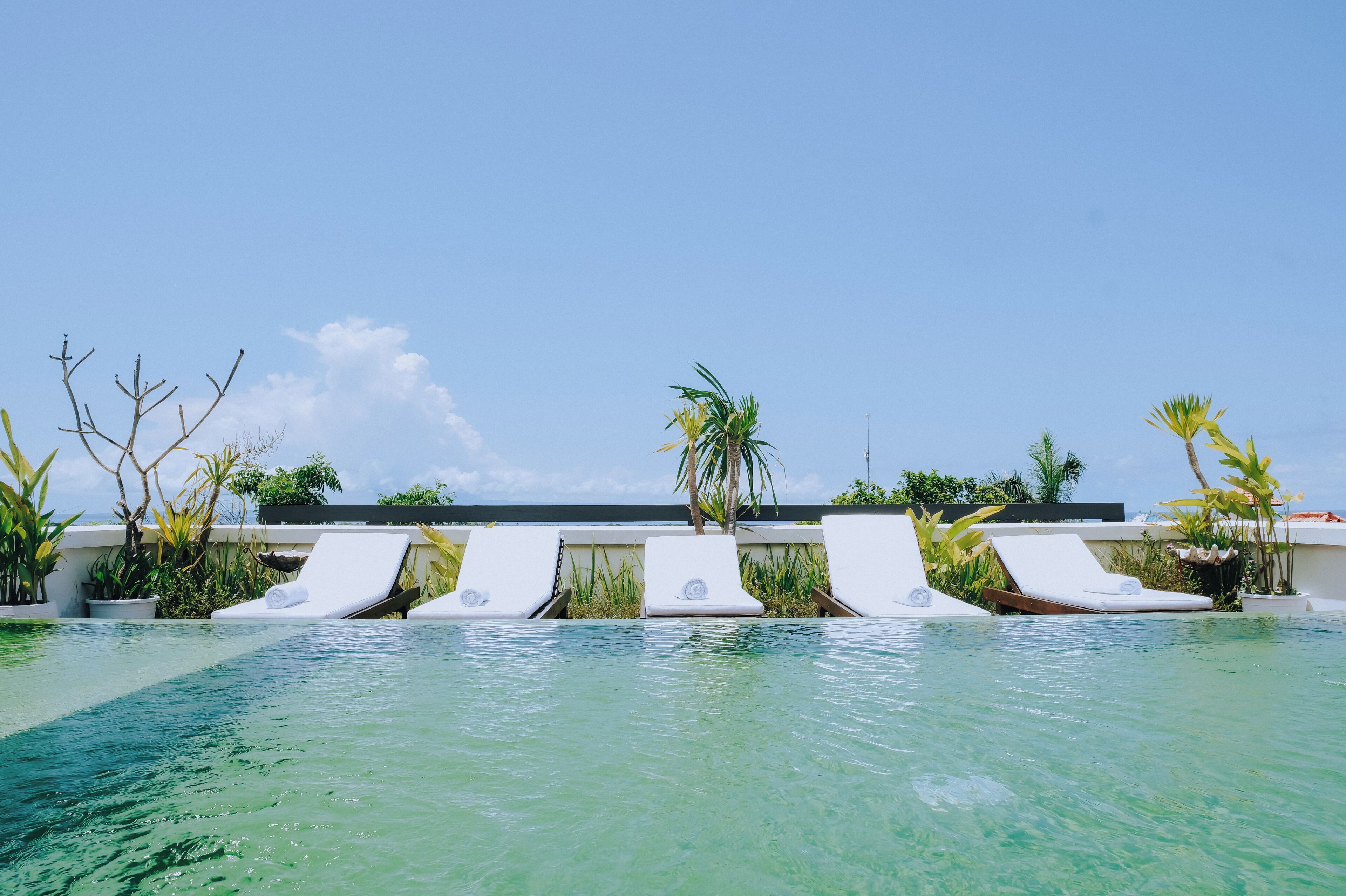 Area piscina con lettini e palme.
