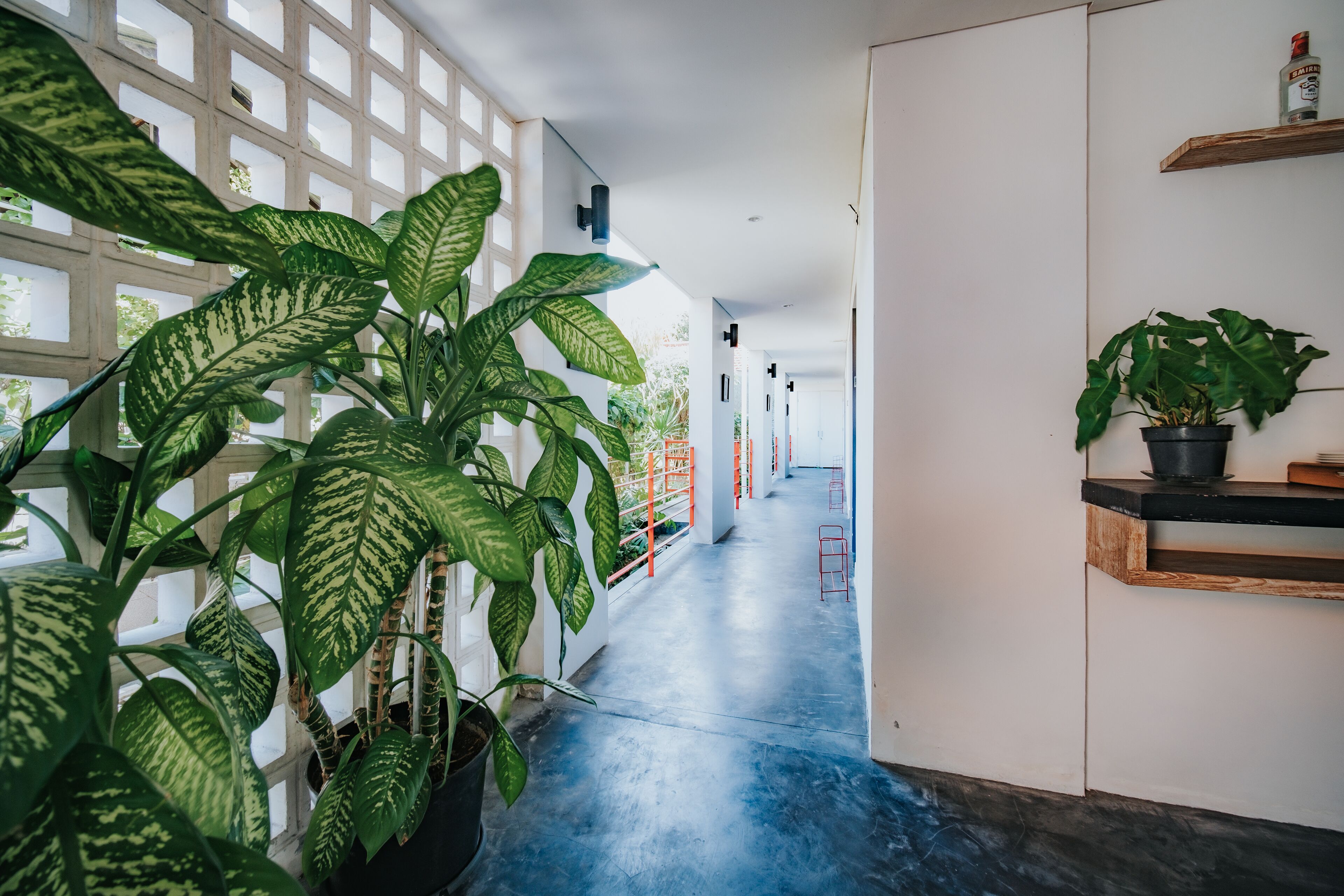A modern hallway with large potted plants, a concrete floor, and a white wall with a wooden shelf.