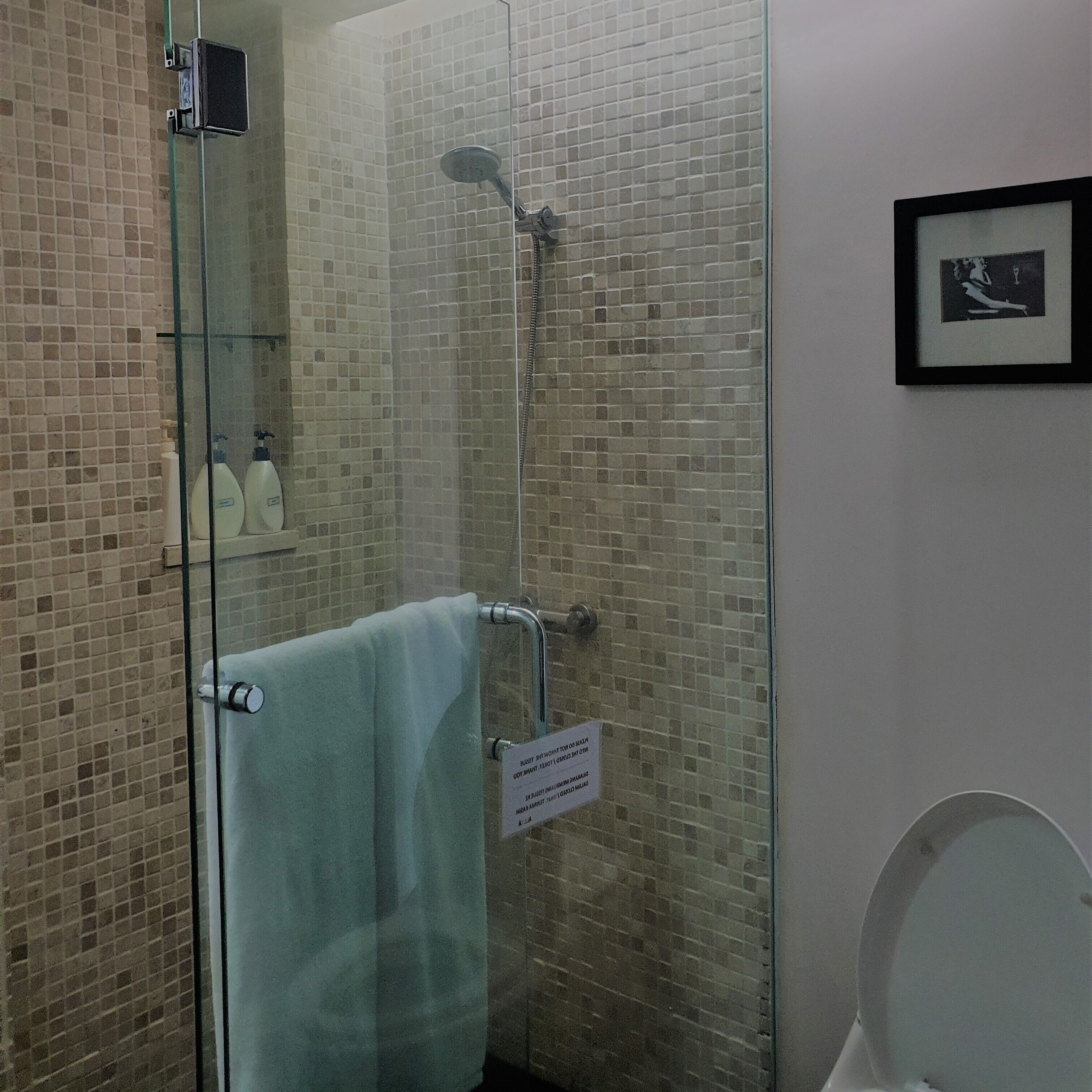 Une salle de bain avec une douche à parois de verre, un mur carrelé et des toilettes.