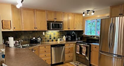 Cheerful 3 bedroom cabin with indoor fireplace