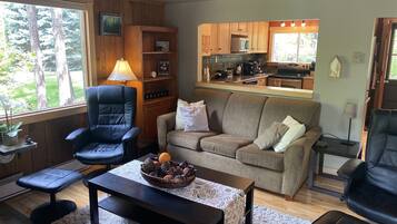 Smart TV, fireplace, DVD player, books