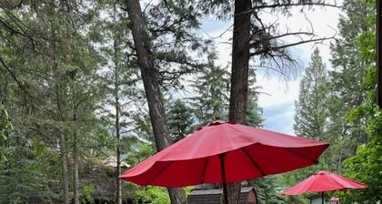 Cheerful 3 bedroom cabin with indoor fireplace