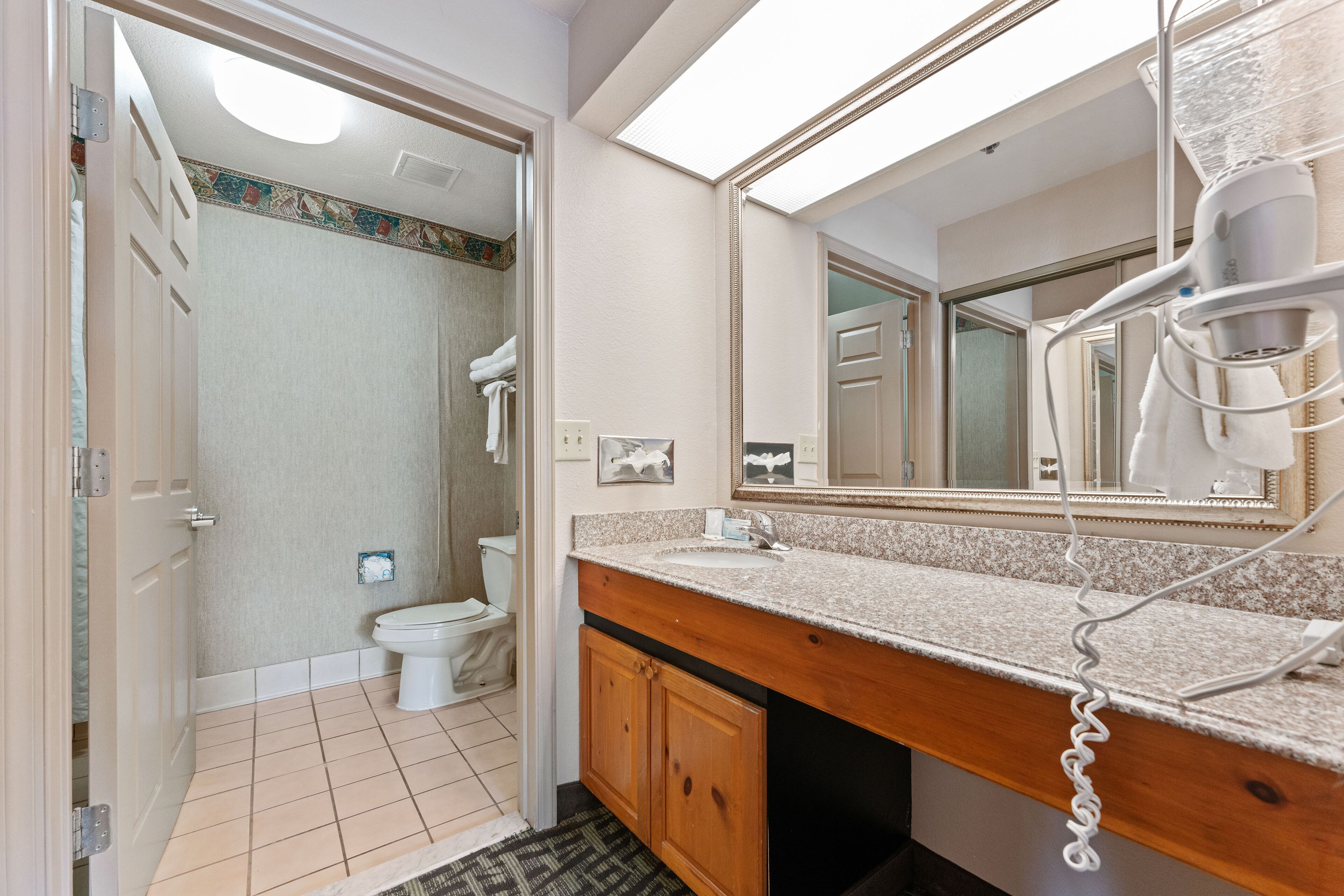A bathroom with a vanity, a mirror, a hairdryer, and a toilet.