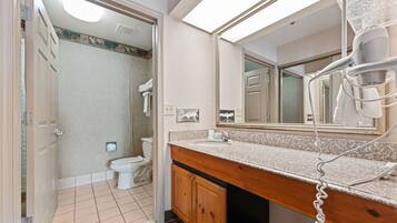 A bathroom with a vanity, a mirror, a hairdryer, and a toilet.