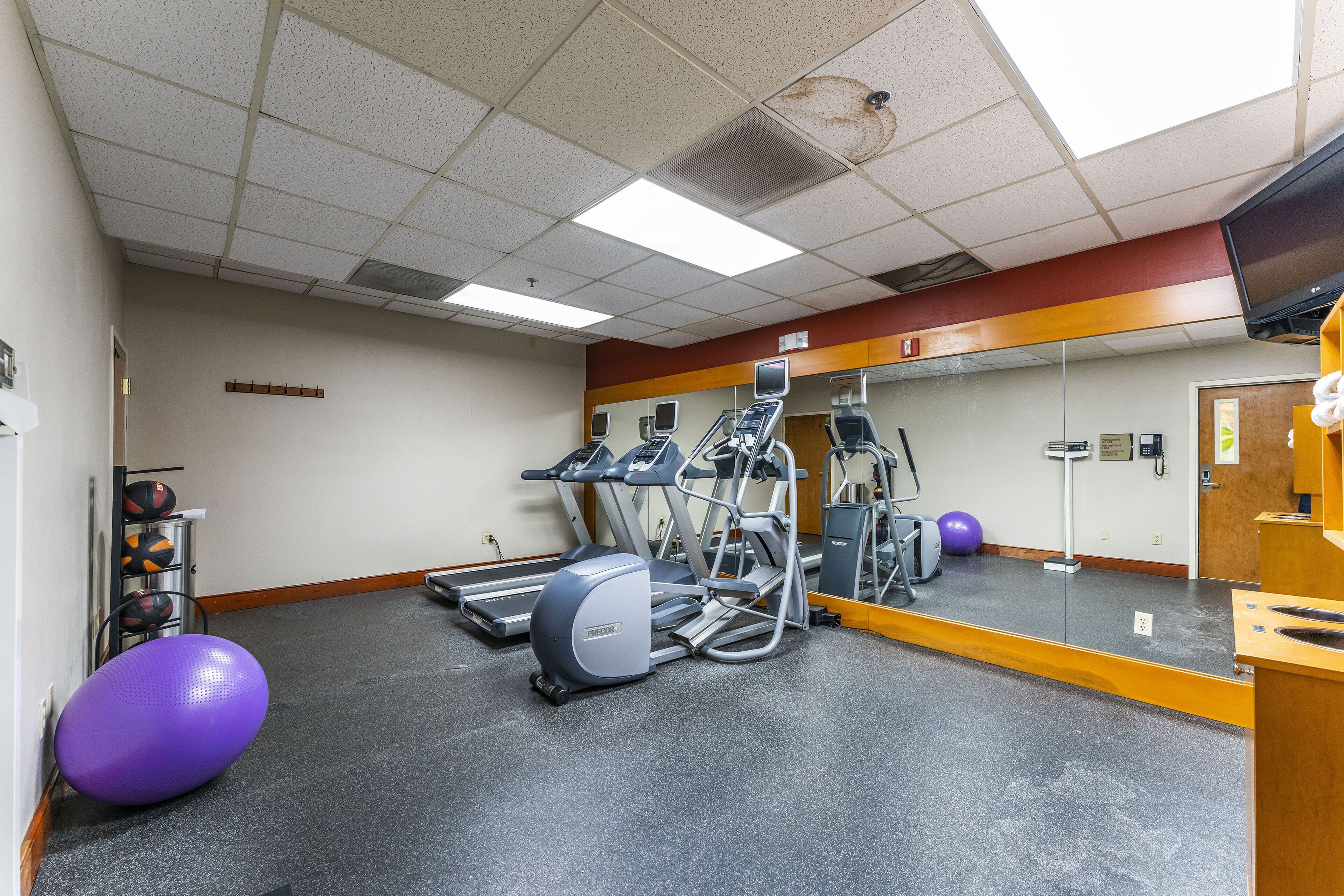 Une salle de sport équipée de tapis de course, de vélos elliptiques et de ballons d’exercice.