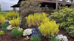 Un chalet rustique doté d’une cheminée en pierre, entouré d’un jardin où poussent différentes espèces de plantes à fleurs.