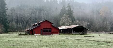 Eksteriør