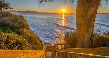 Little Palm Cottage - Steps from Shoreline Park, walk to beach, live like a local