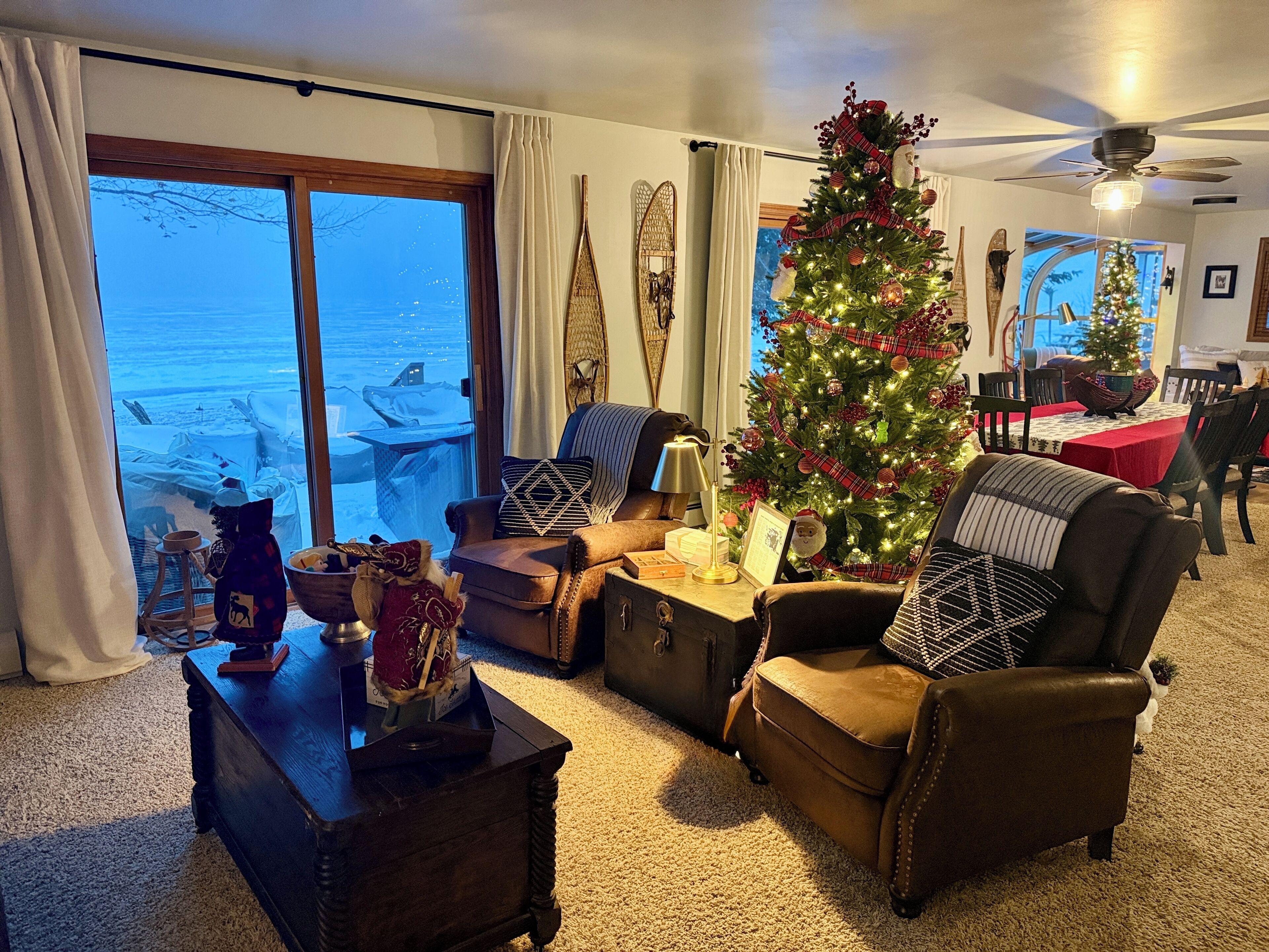 TV connectée, cheminée, livres