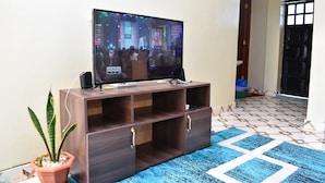 A television on a wooden stand with a potted plant beside it. - KJ'S where Cosy Memories last. (Meru)