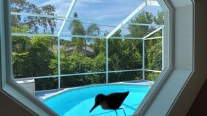 Una habitación con un amplio ventanal octogonal con vistas a una piscina, rodeada de exuberante vegetación.