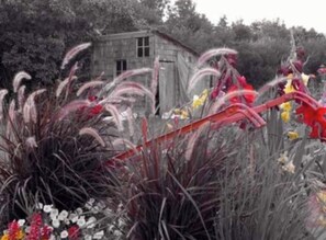 A rustic cabin surrounded by tall grasses and wildflowers.