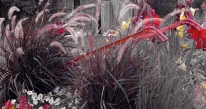 Cozy Country Home with 5 Acres