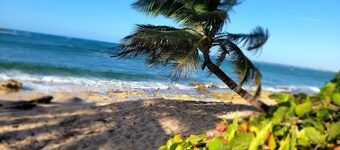 Our beach house harbors a relaxed, soft, modern environment.