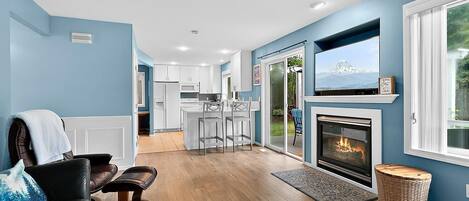 Smart TV, fireplace, books