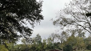 Une terrasse en bois mène à un petit pavillon abrité situé au bord d’un lac paisible, entouré d’arbres et de verdure.