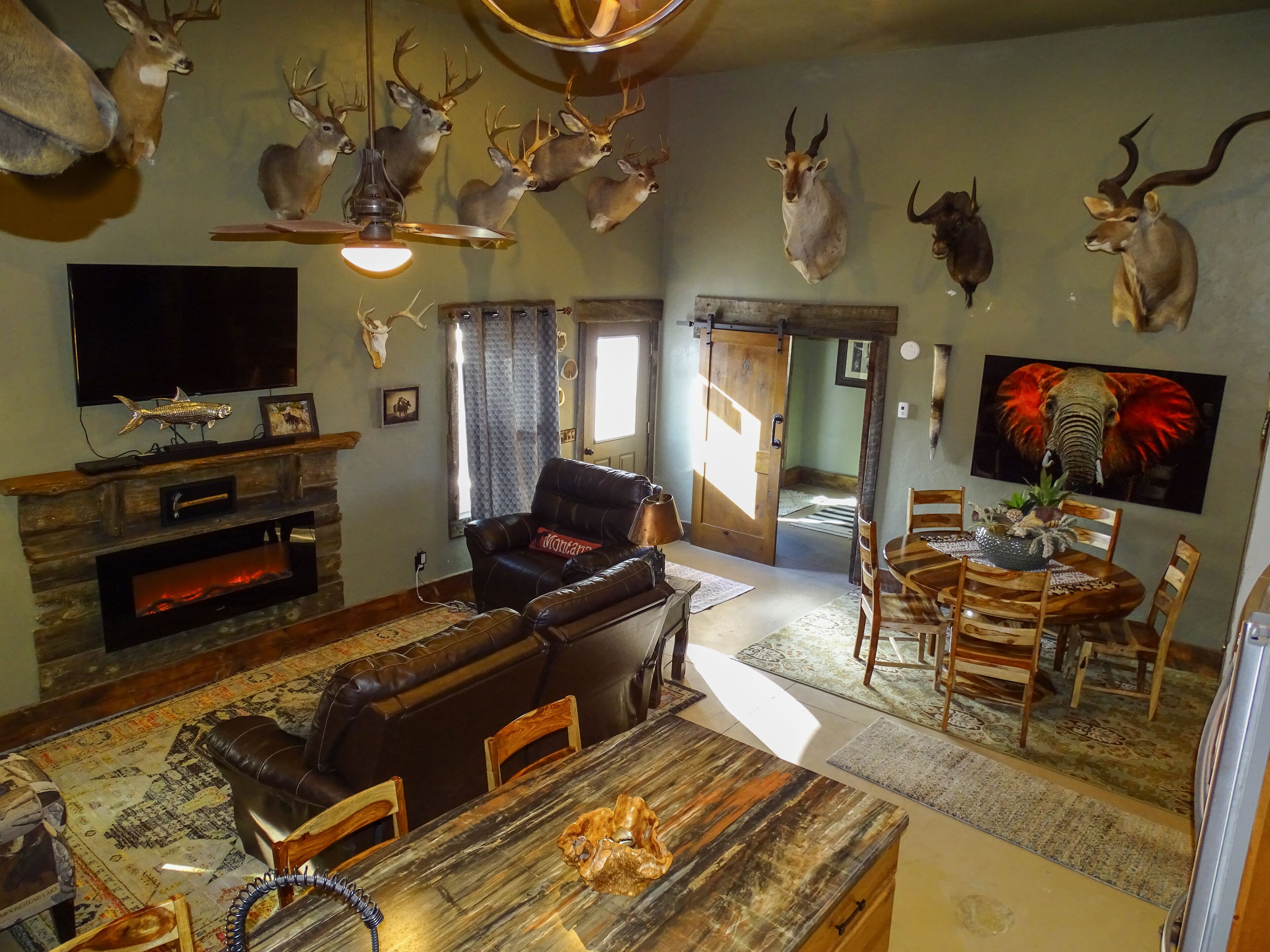 TV connectée, cheminée, lecteur de DVD, chaîne hi-fi