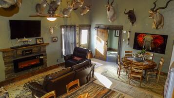 TV connectée, cheminée, lecteur de DVD, chaßne hi-fi