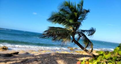 Our beach house harbors a relaxed, soft, modern environment.
