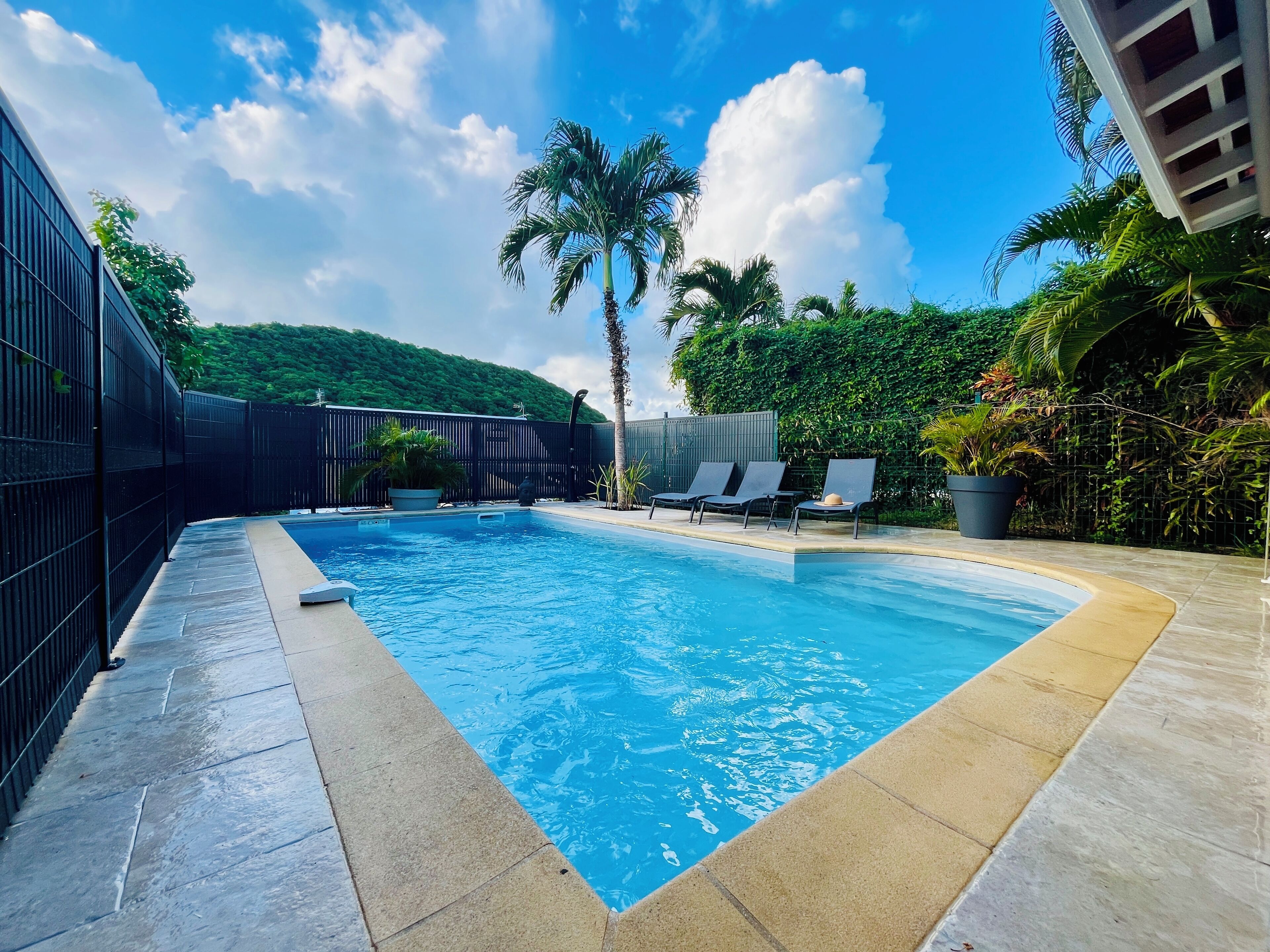Une piscine rectangulaire à l’eau d’un bleu limpide, entourée d’une clôture noire et d’une terrasse carrelée. On aperçoit des chaises longues et un palmier à l’arrière-plan.