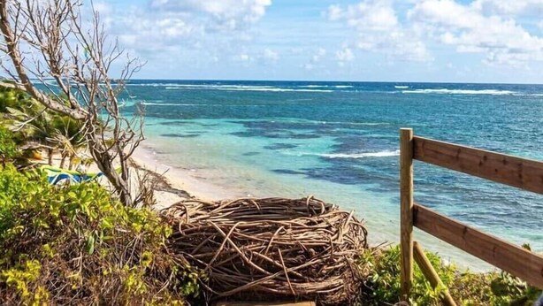 Ein hölzerner Weg führt zu einem Strand mit klarem türkisblauem Wasser und einem Holzzaun auf der rechten Seite.