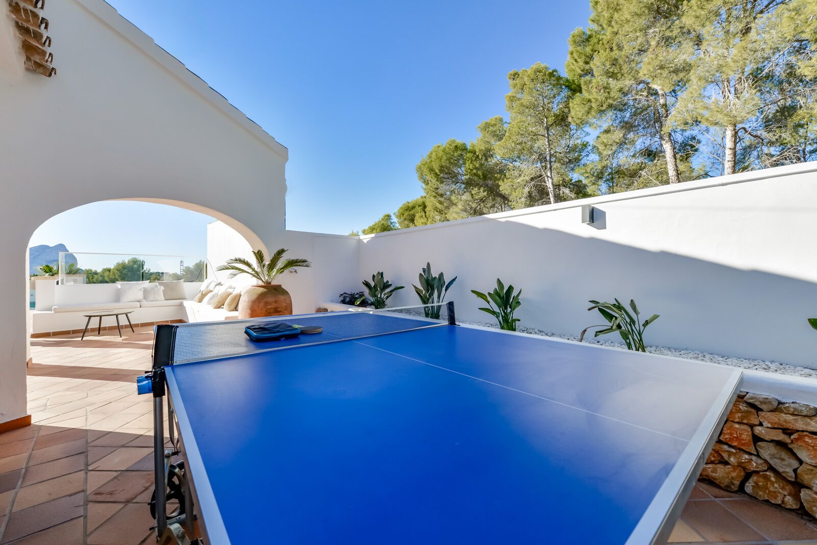 Une table de ping-pong bleue, placée dans un espace extérieur ensoleillé, avec un mur blanc, des plantes et une vue sur les arbres.