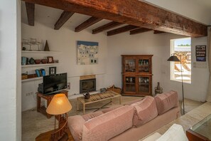 Smart TV, fireplace, books