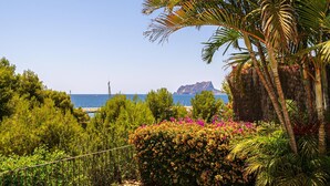 Eine Küstenlandschaft mit Blick auf das Meer, einem felsigen Vorsprung und üppiger Vegetation.