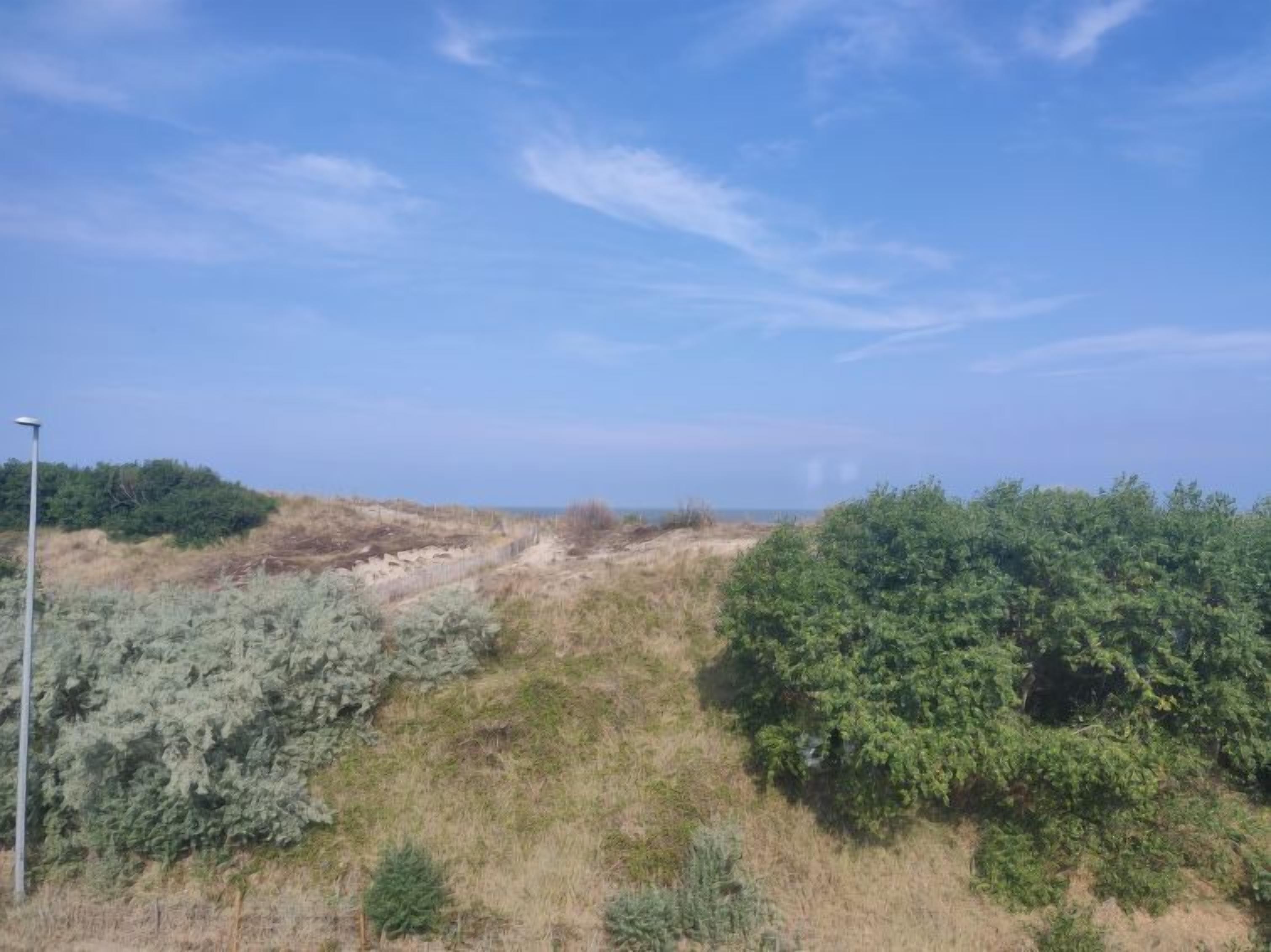 Paisagem natural com grama seca, arbustos, céu limpo e um lampião.