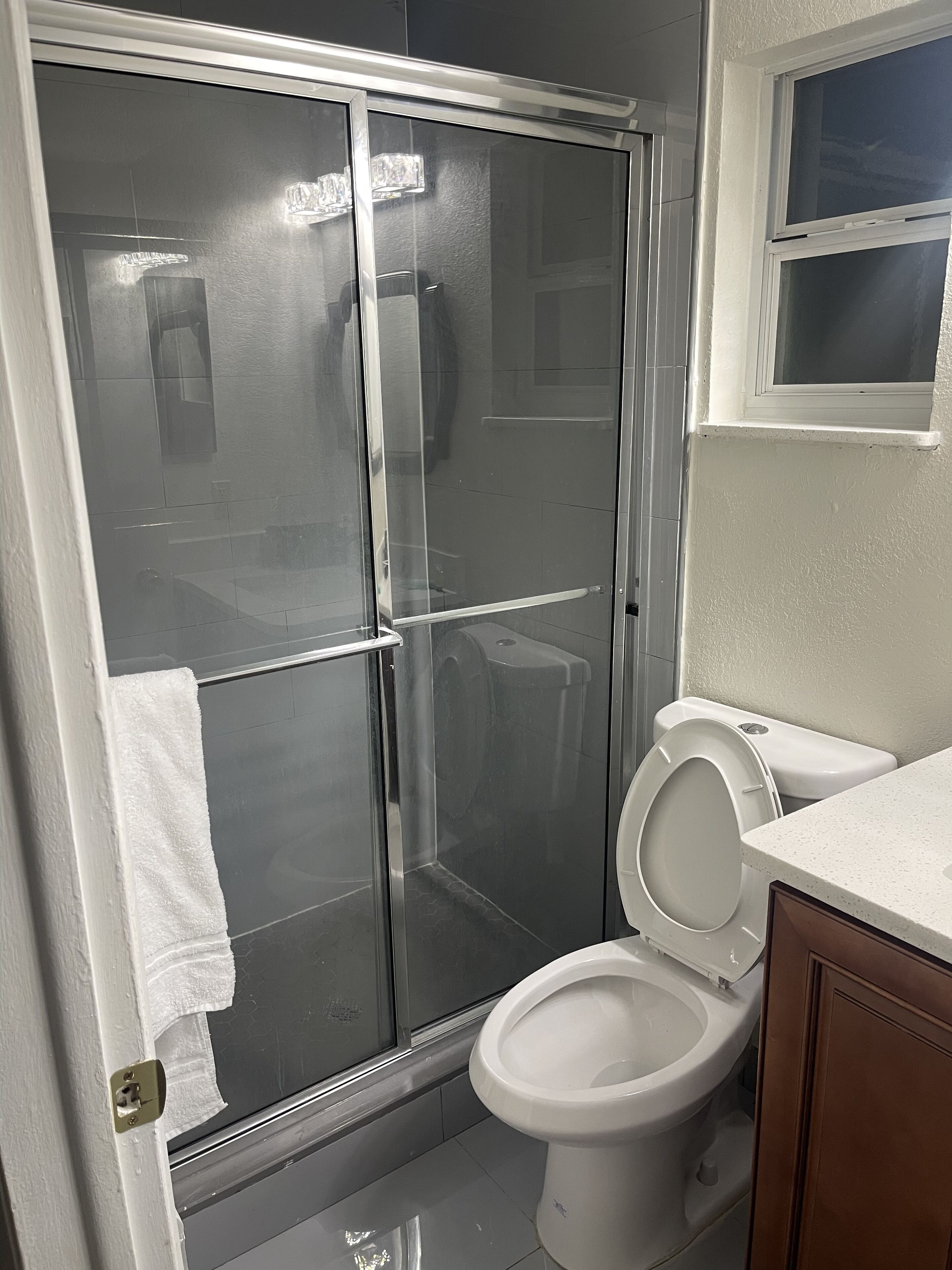 Een badkamer met een douchecabine van glas, een toilet en een wastafel.