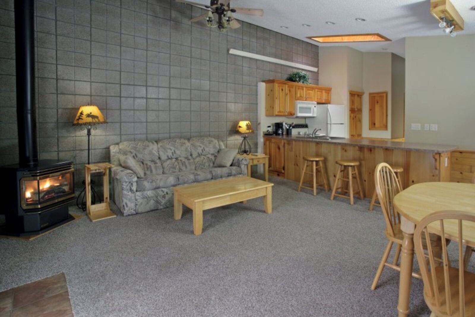 Smart TV, fireplace, DVD player, video library