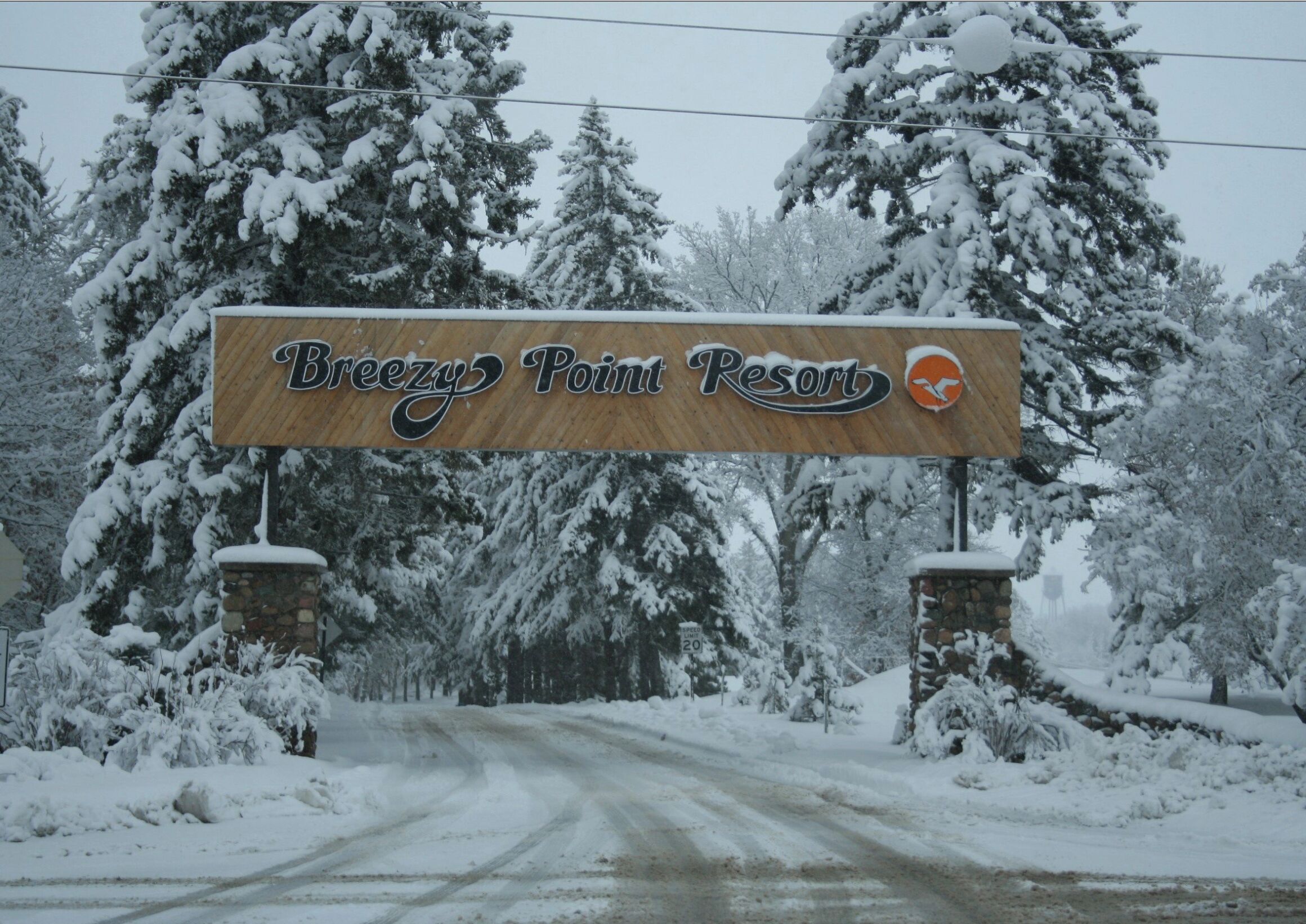 Un cartel de Breezy Point Resort con un logotipo, rodeado de árboles cubiertos de nieve.