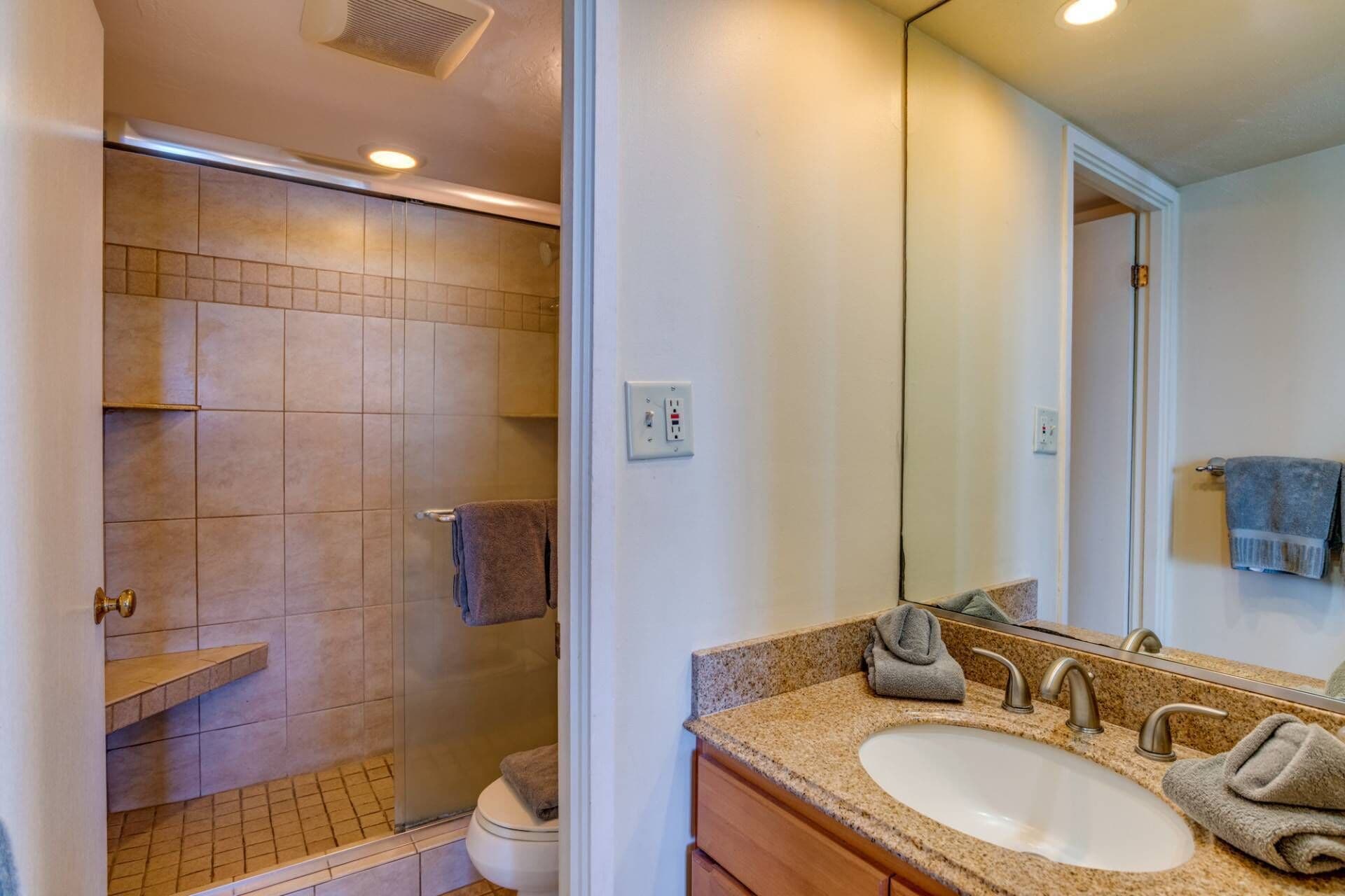 Shower, hair dryer, shampoo