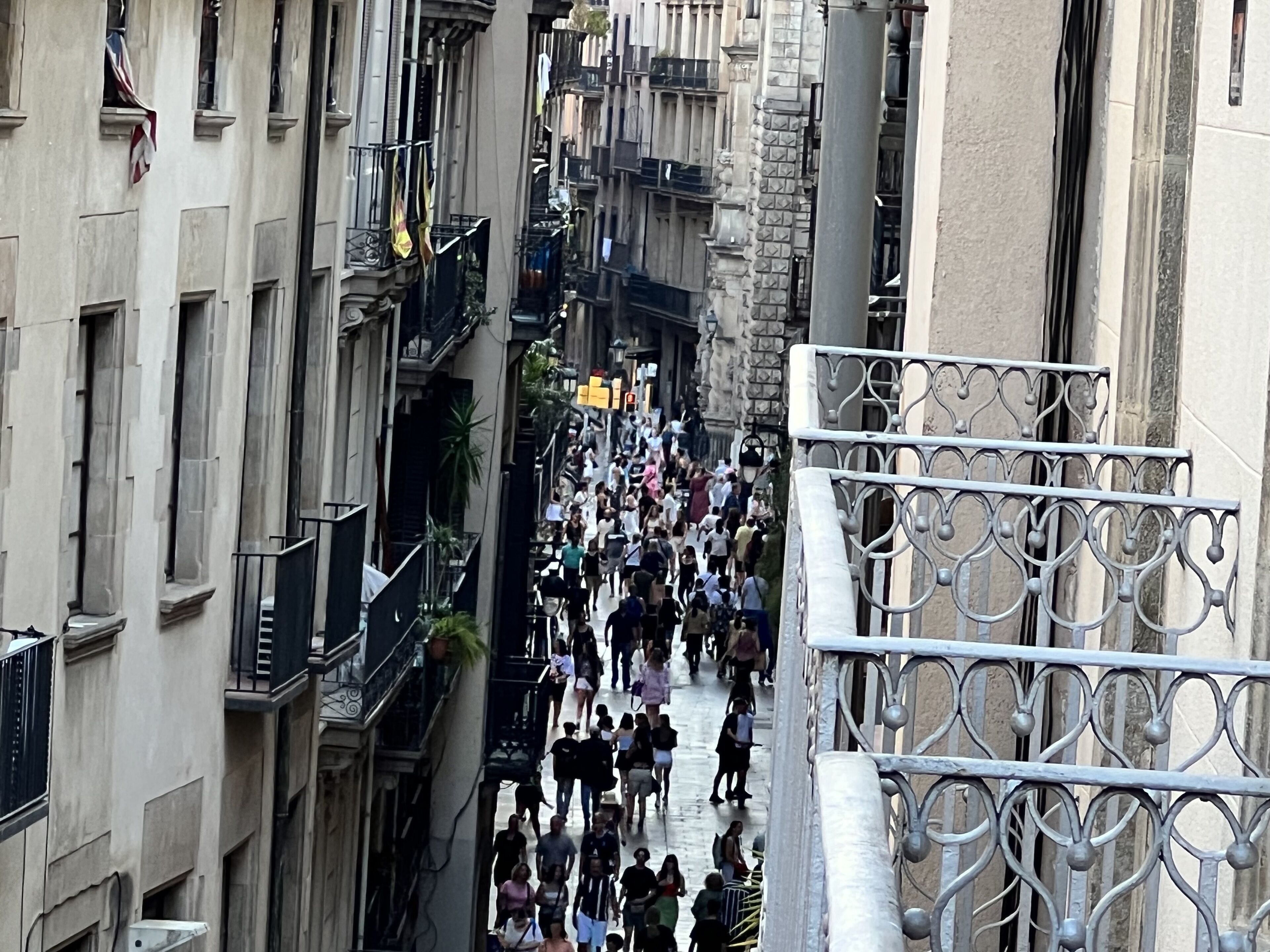 Photo - The MO GOTIC