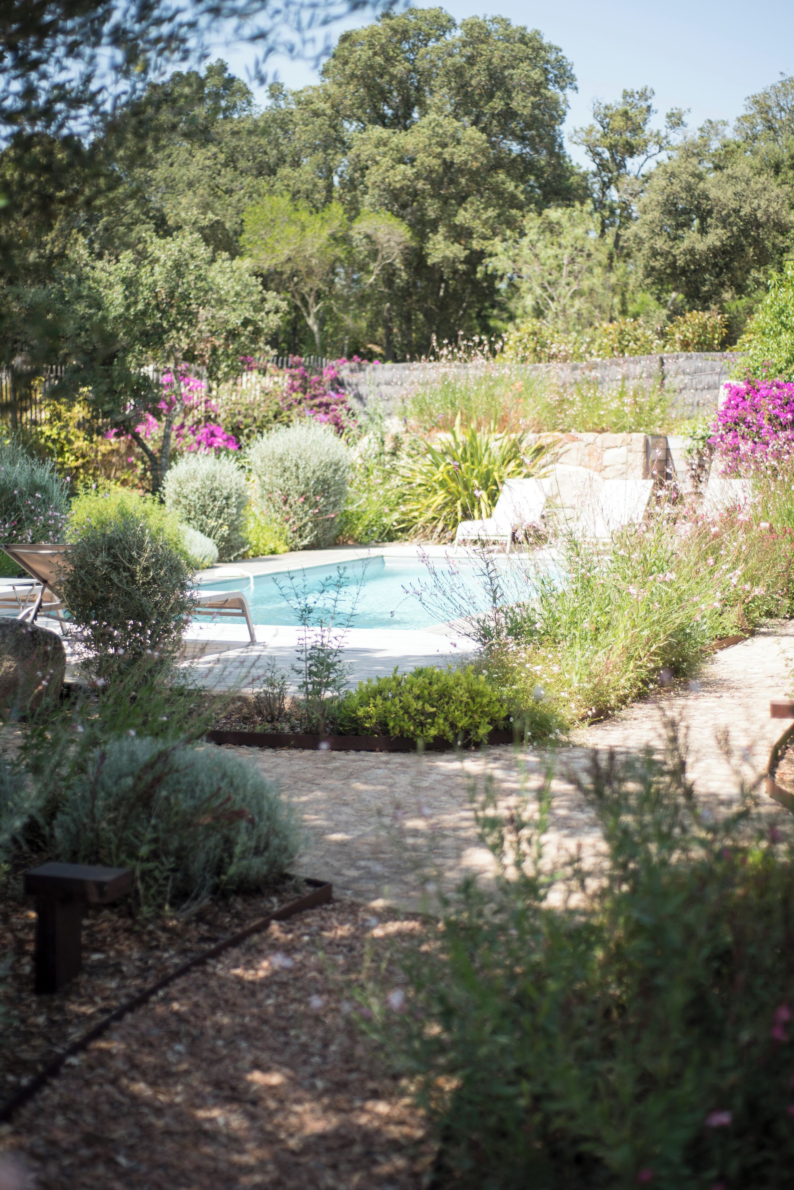 Une piscine entourée d’une végétation luxuriante et de plantes en fleurs.