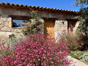 Detalle del exterior
