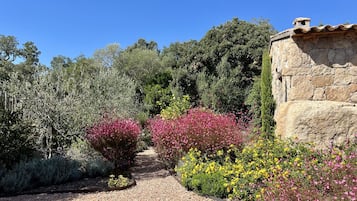 Parco della struttura