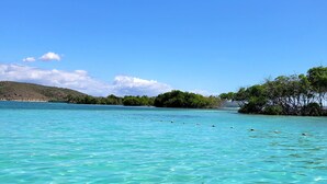 Eau turquoise et limpide, où l’on peut distinguer les motifs formés par le sable, et une côte lointaine bordée de végétation.