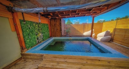 VILA ALEX -Piscina cu apă termală